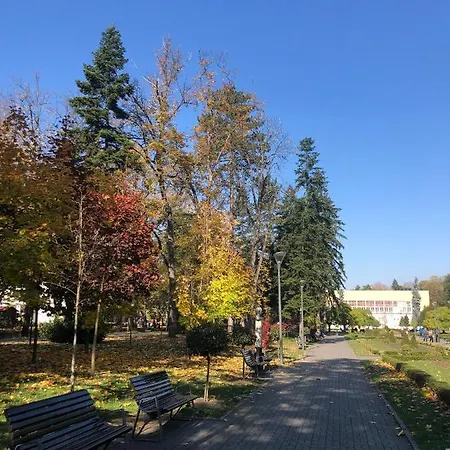 Kod Vrapca * Vrnjacka Banja